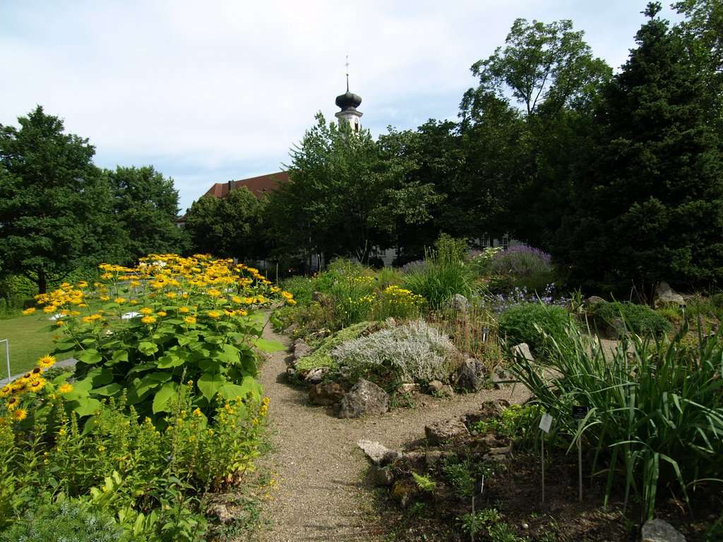 Nutzpflanzen im Botanischen Garten Freiburg — Botanischer Garten