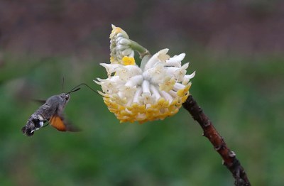 Besucherfoto März 2019