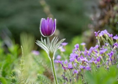 Besucherfoto Mai 2019