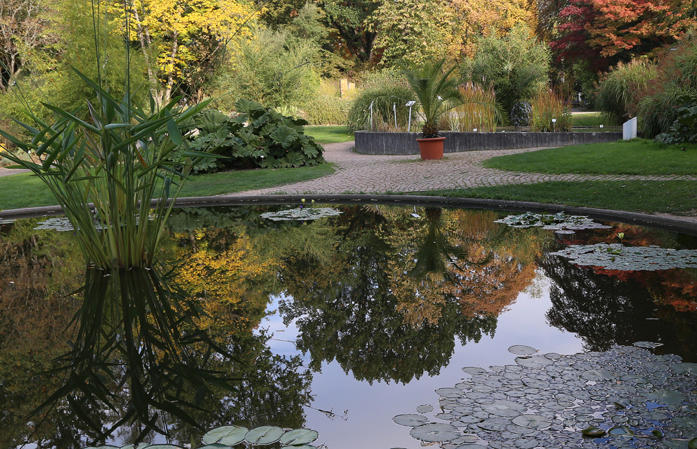 Besucherfoto Oktober 18