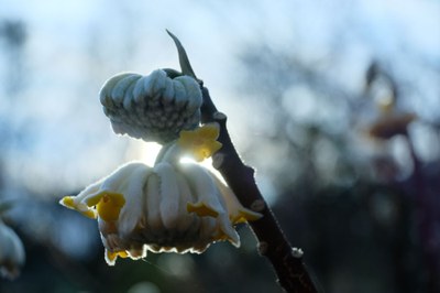 Besucherfoto März 2018