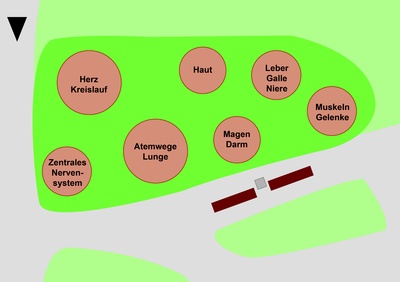 Heilpflanzen Lageplan