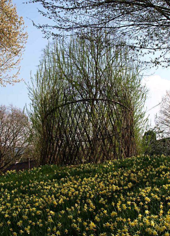 Weidenpavillon im Frühjahr