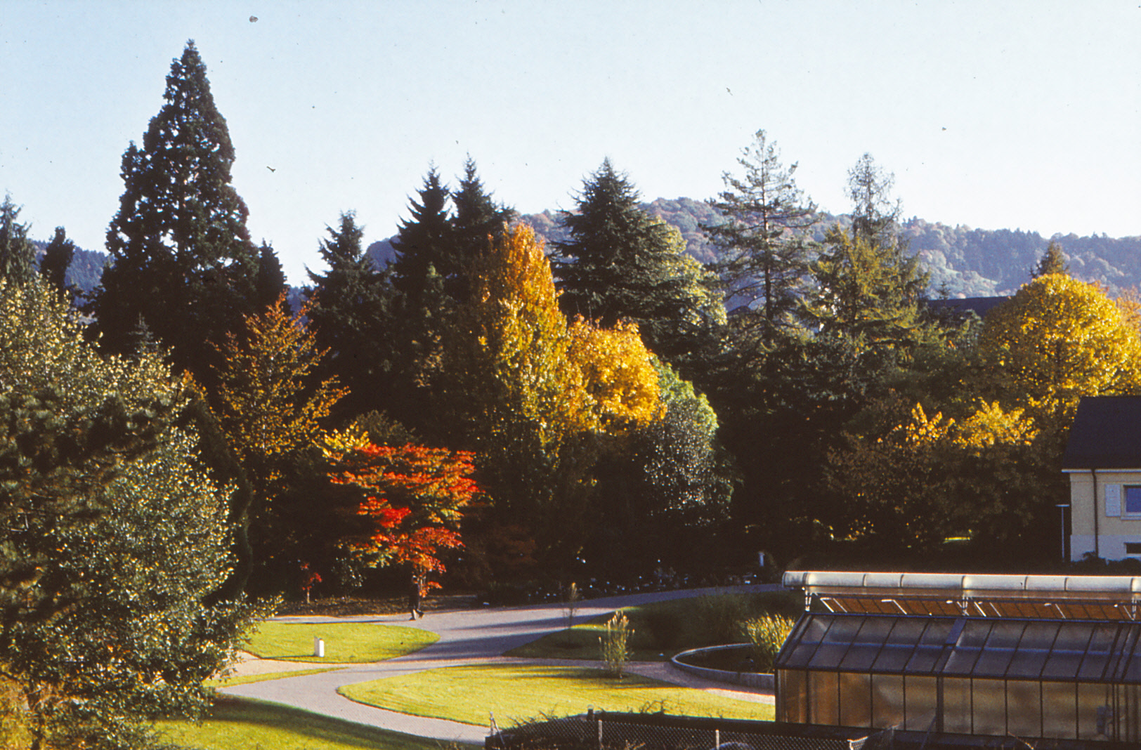 Botanischer Garten 1976_4