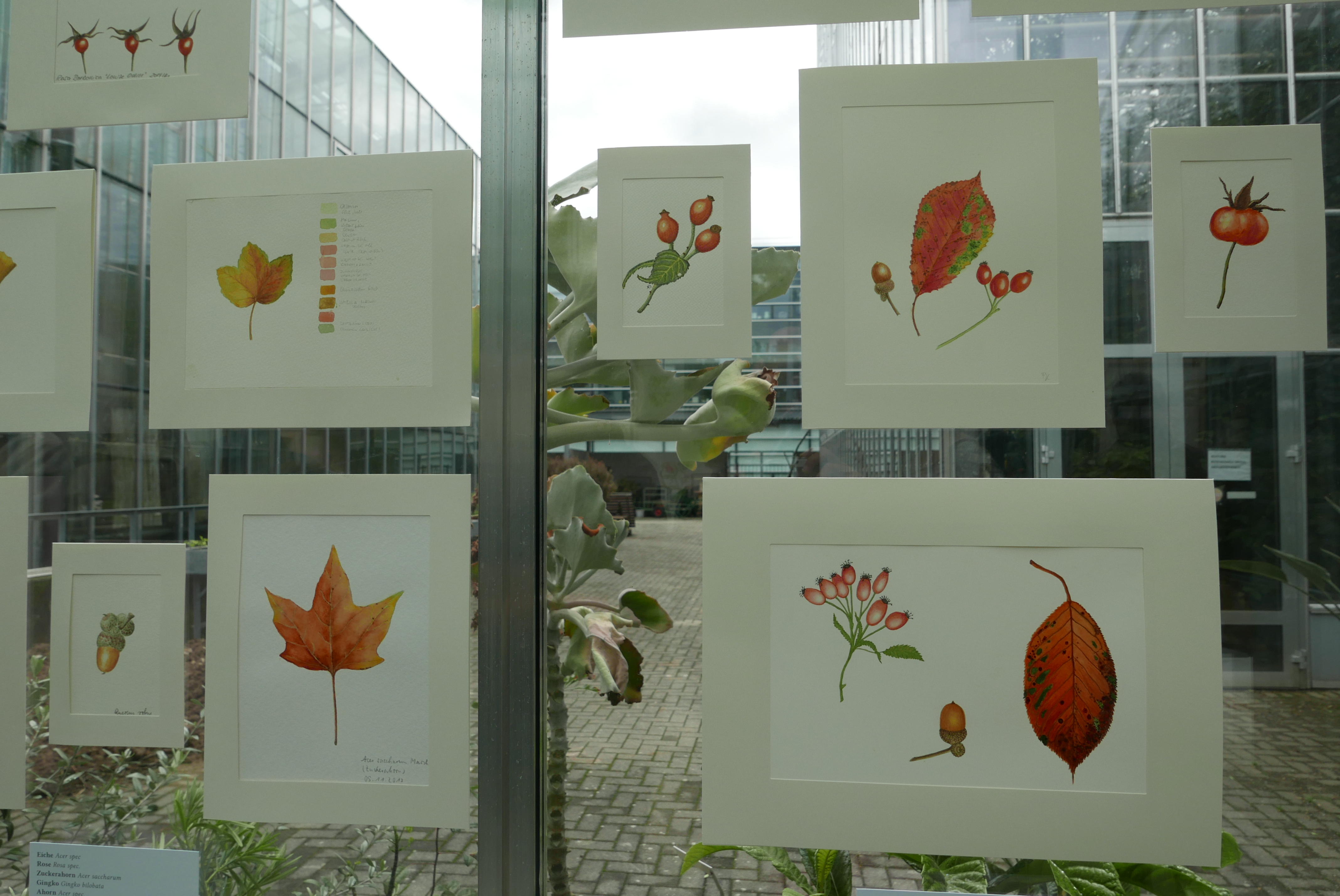 Woche der Botanischen Gärten 2016 Ausstellung5