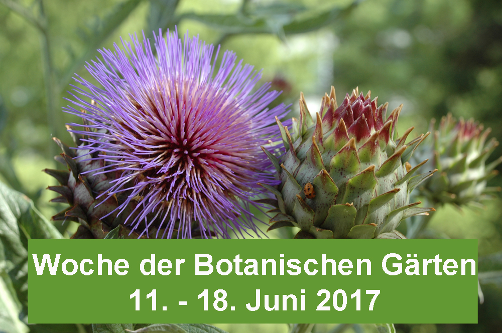 Woche Botanische Gärten 2017