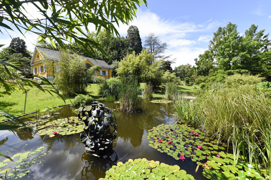 Visiting The Botanical Garden Botanischer Garten