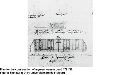 Slider1 Planzeichnung BotanischerGarten 1791 1792 (Signatur B 0114 Universitätsarchiv Freiburg) 540 eng
