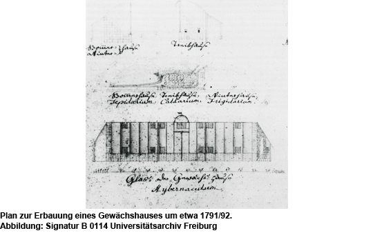 Slider1 Planzeichnung BotanischerGarten 1791 1792 (Signatur B 0114 Universitätsarchiv Freiburg) 540